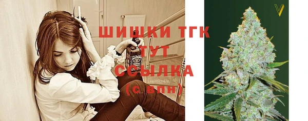 сатива Семикаракорск