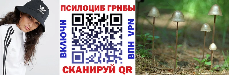 Галлюциногенные грибы GOLDEN TEACHER  Электрогорск 
