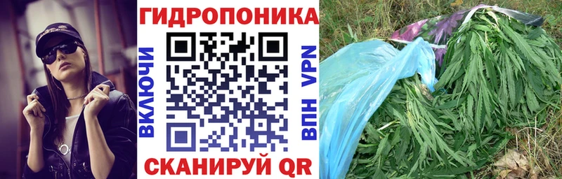 дарк нет формула Электрогорск Конопля сатива наркота